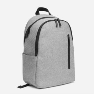Everlane commuter backpack